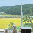 공간부춘 이미지