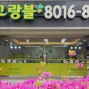 판교월드마크공인중개사사무소 이미지