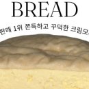 찌빵이네