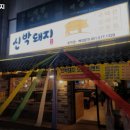 신박돼지