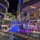 더(The)오뎅 | 후쿠오카 3박 4일 여행 Day1 - 새벽 뱅기·키스이마루·렉커피·돈키호테·바쿠로·캐널시티·오뎅바