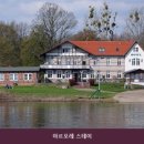 아르포레 스테이 네이버블로그