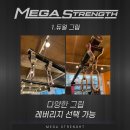 MEGA STRENGTH-로우,풀다운.펑셔널,로봇팔,각도조절 벤치 이미지