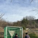 소호 푸른정원 이미지