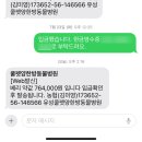 나심환 | 담낭질환,신부전,만성췌장염의 15살 베리의 행복한 삶 호스피스 ( 자연식만들기 & 약과의 전쟁 )