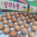 심다누팜 | 태안) 태안 심다누팜 ㅡ 초란 구입