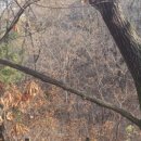 부평구 비타민길 이미지