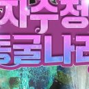 자수정백화점 이미지