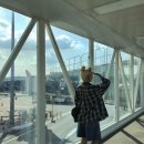 영우목장 | 2025 JEJO 🍊🧡