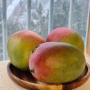 브리지팜 이미지