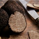 '땅 속의 다이아몬드' 송로버섯(松露, truffle) 이미지