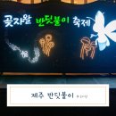 제주 반딧불이 체험 강추! 6월 제주도 가볼만한곳, 청수 곶자왈 반딧불이축제