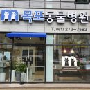 한사랑동물의료센타 동물병원 티스토리