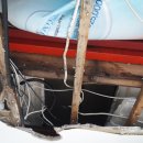 금성안경원 이미지