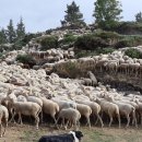 (주) 성도 이미지