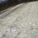 신성리 공룡발자국 이미지