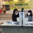 라이브축제