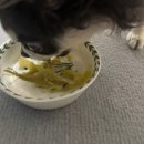 [홍씨네 농원] 꿀 고구마 – 달콤한 자연의 맛, 해남 산지직송 후기!
