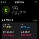 대원카서비스 | 2025 한강명산 트레킹 참여 후기 (feat. 한강걷기)