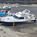 그리고 봄 펜션 민박 | 드디어 힐링 찾았다! 여기 신시도펜션 찐 후기 풀어봄