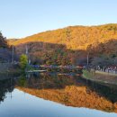 산인어탕칼국수 이미지