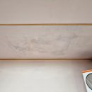 동서영남타운경로당 | 대구 달서구 아파트 누수복구 ㅣ 도배만 했다가 3개월 뒤 다시 뜯은 이유