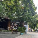 바디몽키 GYM | 호치민 4성급 호텔 추천 '오 라크 레전드 호텔'ㅣ조식·헬스장·수영장·호텔에 대한 모든 것