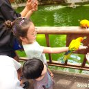 성동부화장 | 경북 경주 실내 아이와 갈만한 곳으로 경주버드파크(새 먹이주기체험)