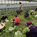 철원군 치매안심센터 이미지