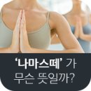 나마스떼 이미지