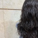 새봄헤어 (다정점) | 세종시 염색 잘하는 곳 새봄헤어 다정점, 스타일 변신 성공 후기