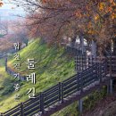 합천호회양관광단지 | 경남 걷기좋은길 합천호 회양관광단지 합천댐 둘레길 추천