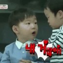 무궁화오토캠핑장 이미지