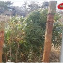 향원펜션 이미지