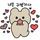 남산동물병원 이미지