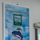 강원수산횟집 이미지