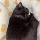 다루동물병원 이미지