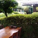 성심농원 이미지