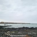 세화환승정류장 이미지