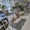 울산광역시 야생동물구조센터 이미지