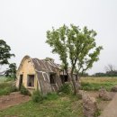 제주로와 이미지