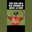 한화 이글스 시구자 잘던진다 이미지