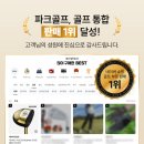 파크골프 입문 | 파크골프채 추천 | 데이비드 DP101 파크골프 세트 후기, 입문용으로 괜찮을까?