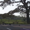 제이디공인중개사사무소 이미지