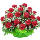 창동노인복지센터 이미지