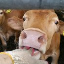 구삼농장 이미지