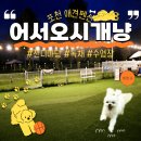 에이플러스당구장 | 포천 애견 펜션 독채 수영장까지 한 번에 어서오시개냥