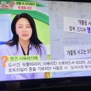 송아지만한 반려견을 보았다면? 이미지