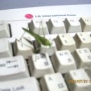 컴퓨터온