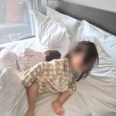 쌍둥이목장 | [2026년 3월] 엄마 혼자 네 살 쌍둥이와 제주여행 : 2일, 아침미소목장, 외도가마솥밥, 신라스테이...